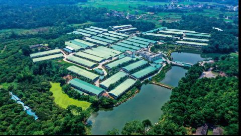 祝氏大荣养殖核心示范区